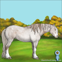 Horse Color:Liver Red Dun Roan Sabino Blanket 
