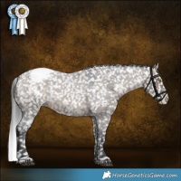 Horse Color:Brown Roan Dun Sabino Appaloosa 