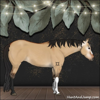 Horse Color:Gray Bay Dun 