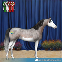Horse Color:Brown Roan Splash 
