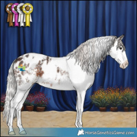 Horse Color:White Spotted Silver Brown Mushroom Splash Appaloosa 