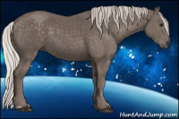 Horse Color:Silver Black