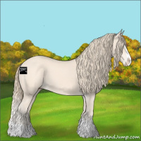 Horse Color:Perlino Splash