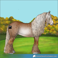 Horse Color:Gray Palomino Splash 