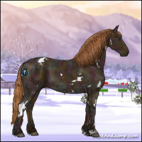 Horse Color:White Spotted Midnight Chestnut Ice 