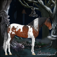 Horse Color:Brown Tobiano Blanket 