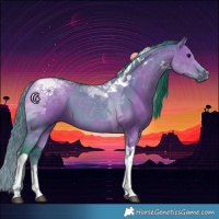 Horse Color:Watercolor Grullo Tobiano 