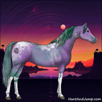 Horse Color:Watercolor Grullo Tobiano