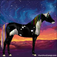 Horse Color:Painted Chestnut Ice Splash Tobiano