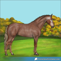 Horse Color:Gray Red Roan 