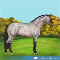 Horse Color:Brown Roan