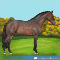 Horse Color:Bay Roan Rabicano