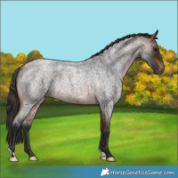 Horse Color:Bay Roan Rabicano 