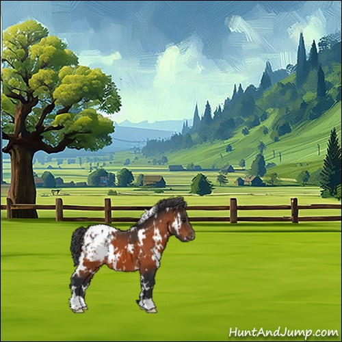 Horse Color:White Spotted Brown Appaloosa 