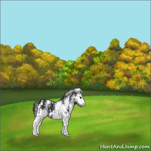 Horse Color:White Spotted Black 