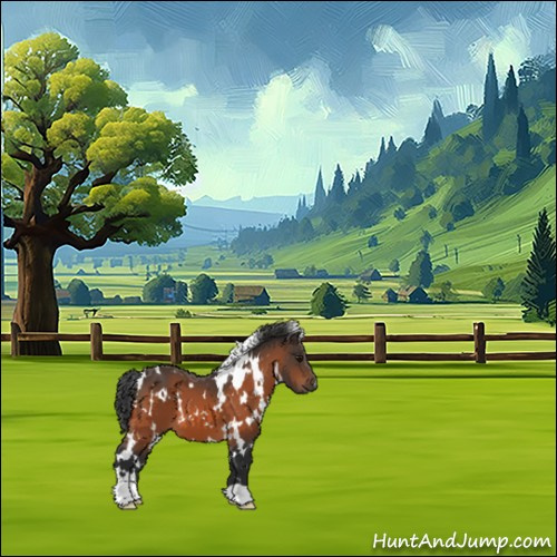 Horse Color:White Spotted Bay 