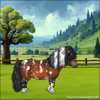 Horse Color:White Spotted Brown 