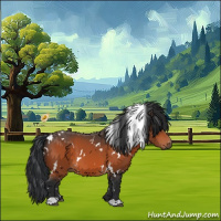 Horse Color:White Spotted Bay 