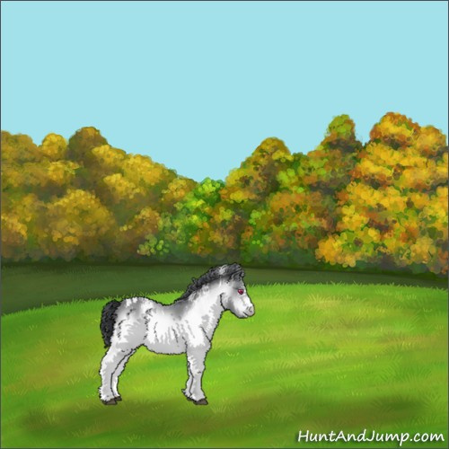 Horse Color:White Spotted Brown Chinchilla 