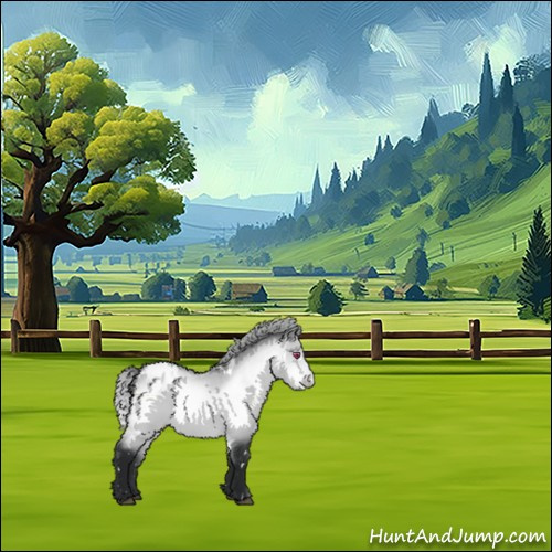 Horse Color:White Spotted Bay Chinchilla Dun Appaloosa 