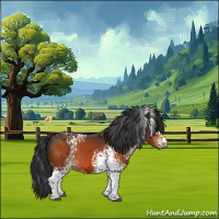 Horse Color:White Spotted Brown 