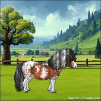Horse Color:White Spotted Brown Appaloosa 