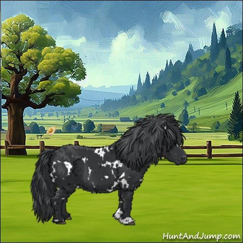 Horse Color:White Spotted Black Chinchilla 