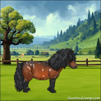 Horse Color:White Spotted Bay 