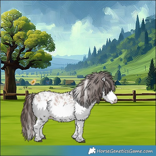 Horse Color:White Spotted Bay Appaloosa 