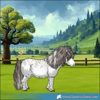 Horse Color:White Spotted Bay Appaloosa