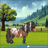 Horse Color:White Spotted Bay Appaloosa