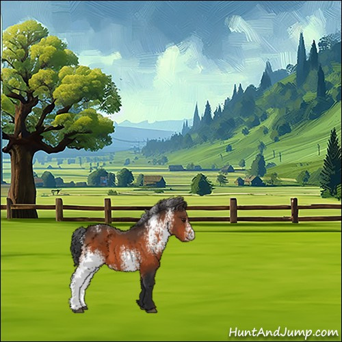 Horse Color:White Spotted Brown Appaloosa 