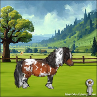 Horse Color:White Spotted Bay Appaloosa