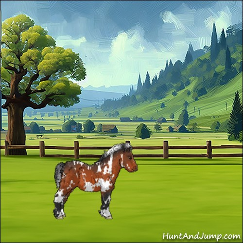 Horse Color:White Spotted Brown 