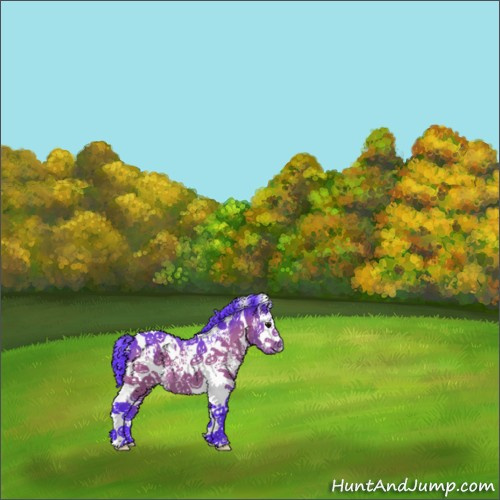 Horse Color:Watercolor White Spotted Bay Tobiano 