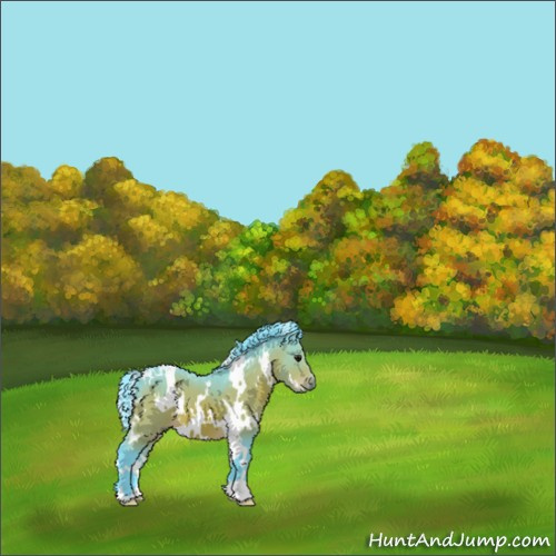 Horse Color:Watercolor White Spotted Bay 