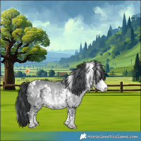 Horse Color:White Spotted Bay Chinchilla 