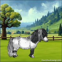 Horse Color:White Spotted Bay Chinchilla 