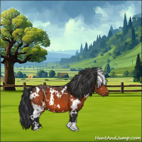 Horse Color:White Spotted Bay 