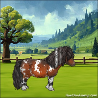 Horse Color:White Spotted Bay Varnish 