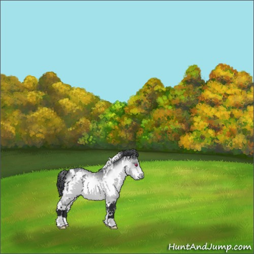 Horse Color:White Spotted Brown Chinchilla 