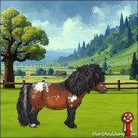 Horse Color:White Spotted Bay Appaloosa 