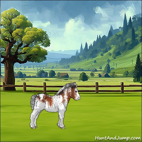 Horse Color:White Spotted Bay Appaloosa 