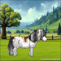 Horse Color:White Spotted Brown Appaloosa 