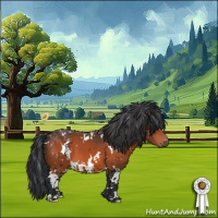 Horse Color:White Spotted Brown 