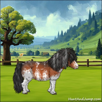 Horse Color:White Spotted Bay 