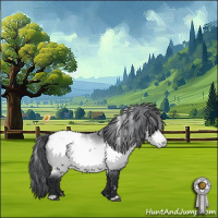 Horse Color:White Spotted Bay Chinchilla Appaloosa