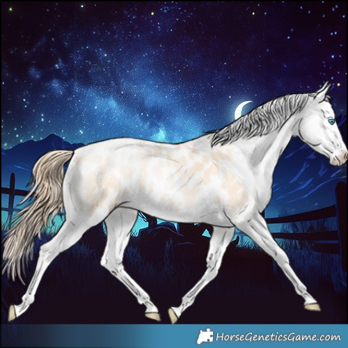 Horse Color:Sable Cream Champagne Pearl Splash Appaloosa Rabicano 