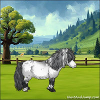 Horse Color:White Spotted Bay Chinchilla Appaloosa 