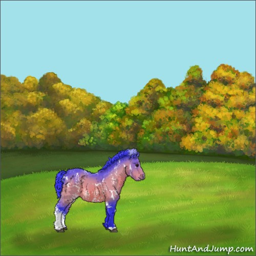 Horse Color:Watercolor White Spotted Bay 